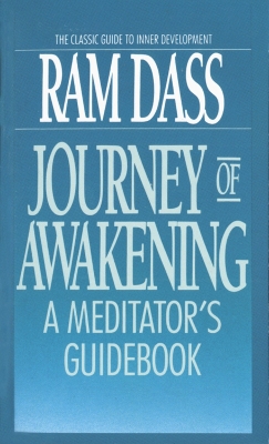 Journey Of Awakening book
