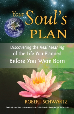 Your Soul's Plan book