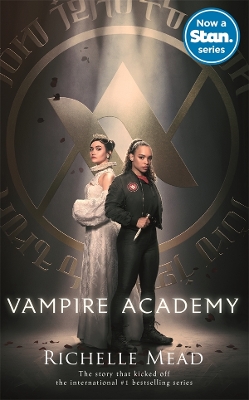 Vampire Academy (book 1) book