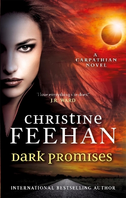 Dark Promises book