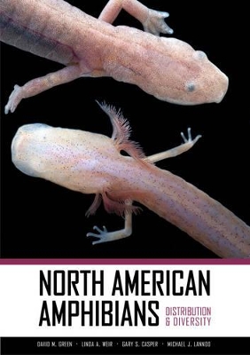 North American Amphibians by David M Green