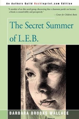 Secret Summer of L.E.B. book