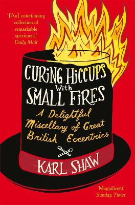 Curing Hiccups with Small Fires book