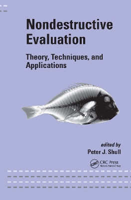 Nondestructive Evaluation book