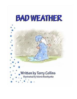 Bad Weather book