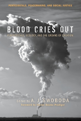 Blood Cries Out book