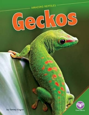 Geckos by Tammy Gagne