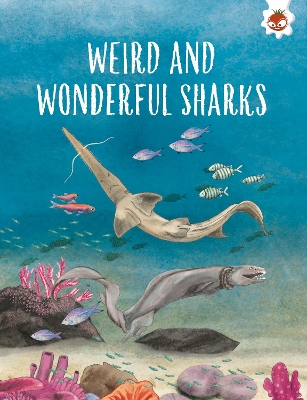 WEIRD AND WONDERFUL SHARKS: Shark Safari STEM book