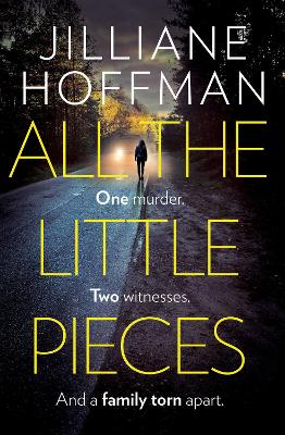 All the Little Pieces by Jilliane Hoffman