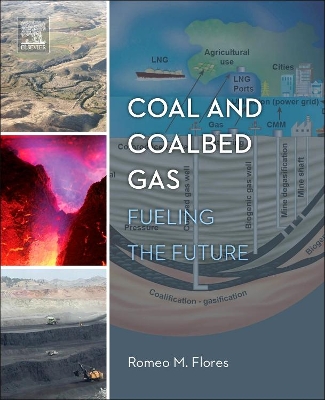 Coal and Coalbed Gas book