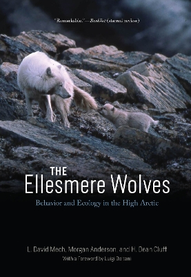 The Ellesmere Wolves: Behavior and Ecology in the High Arctic book