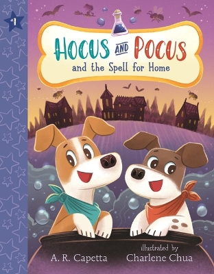 Hocus and Pocus and the Spell for Home book