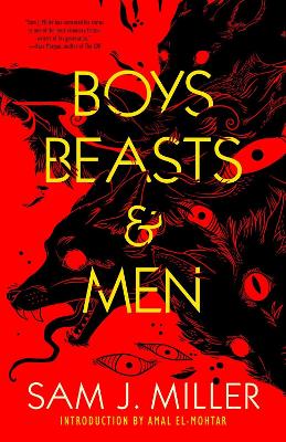 Boys, Beasts & Men book