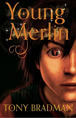 Young Merlin book
