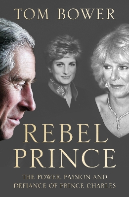 Rebel Prince book