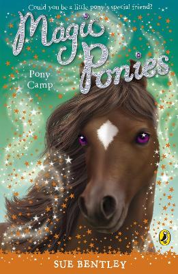 Magic Ponies: Pony Camp book