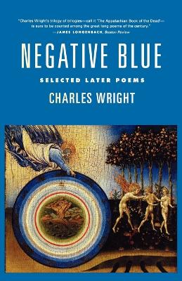 Negative Blue book