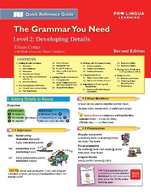 Developing Details: The Grammar You Need, Level 2 book