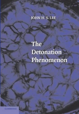 The Detonation Phenomenon by John H. S. Lee