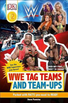 WWE Tag Teams and Team-Ups by Steve Pantaleo