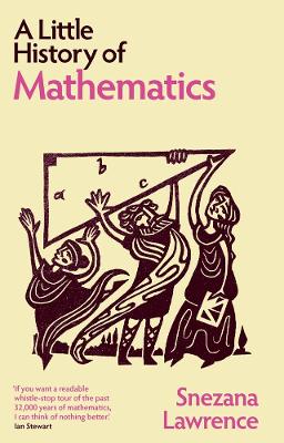 A Little History of Mathematics book