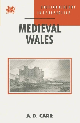 Medieval Wales book