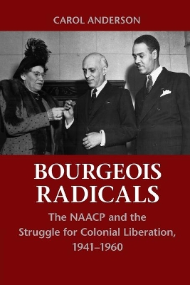 Bourgeois Radicals book