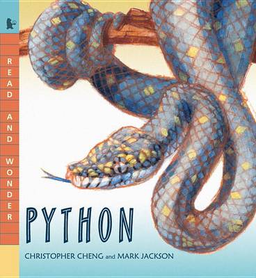 Python book