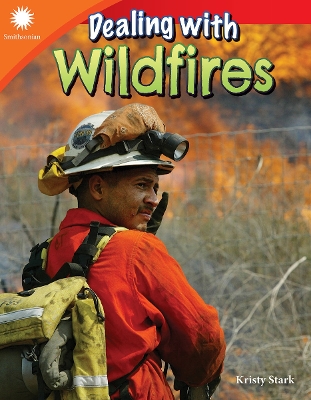 Dealing with Wildfires book