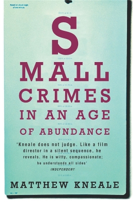 Small Crimes in an Age of Abundance book