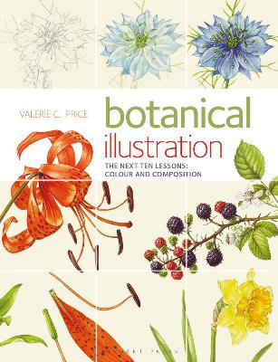 Botanical Illustration: The Next Ten Lessons: Colour and Composition book