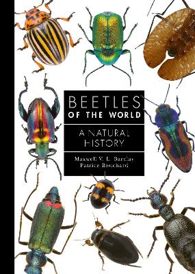 Beetles of the World: A Natural History book