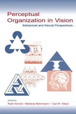 Perceptual Organization in Vision: Behavioral and Neural Perspectives book