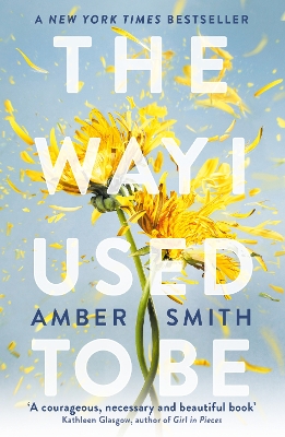 The Way I Used to Be: The TikTok sensation by Amber Smith