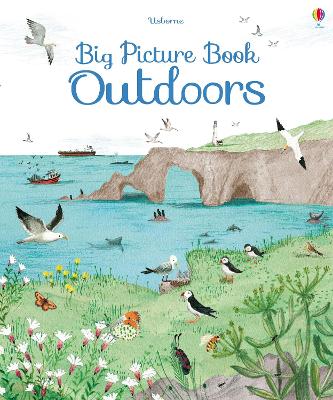 Big Picture Book of Outdoors book