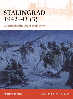 Stalingrad 1942–43 (3): Catastrophe: the Death of 6th Army book