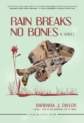 Rain Breaks No Bones: A Novel book