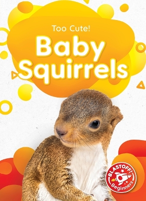Baby Squirrels book