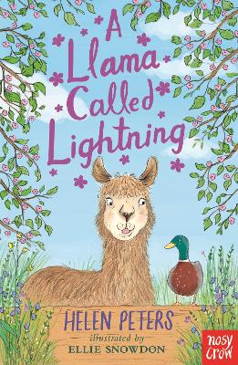 A Llama Called Lightning by Helen Peters