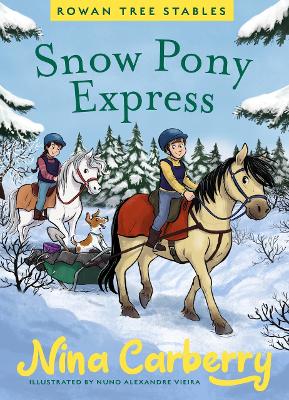 Rowan Tree Stables 3 - Snow Pony Express book