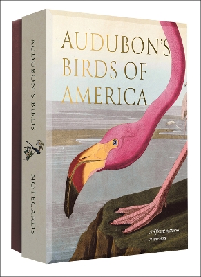 Audubon's Birds of America: An Abbeville Notecard Set book