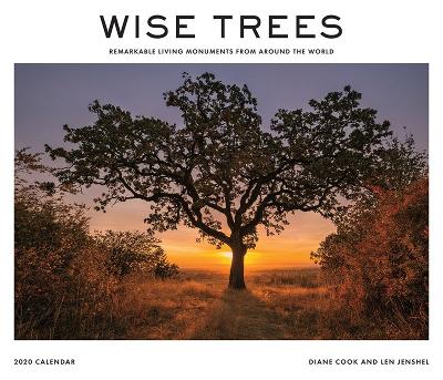 Wise Trees 2020 Wall Calendar: Remarkable Living Monuments from Around the World by Diane Cook
