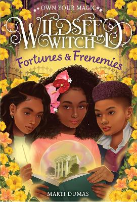 Fortunes & Frenemies (Wildseed Witch Book 3) book