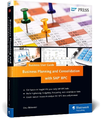 Business Planning and Consolidation with SAP book