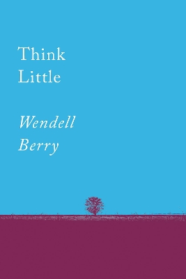 Think Little: Essays book