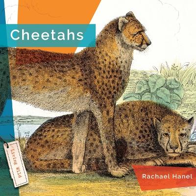 Cheetahs book
