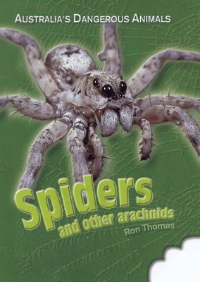 Spiders (Australia's Dangerous Animals) book