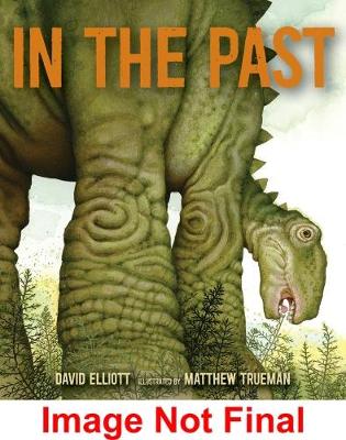 In the Past: From Trilobites to Dinosaurs to Mammoths in More Than 500 Million Years book