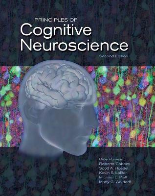 Principles of Cognitive Neuroscience by Dale Purves