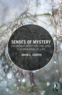 Senses of Mystery book